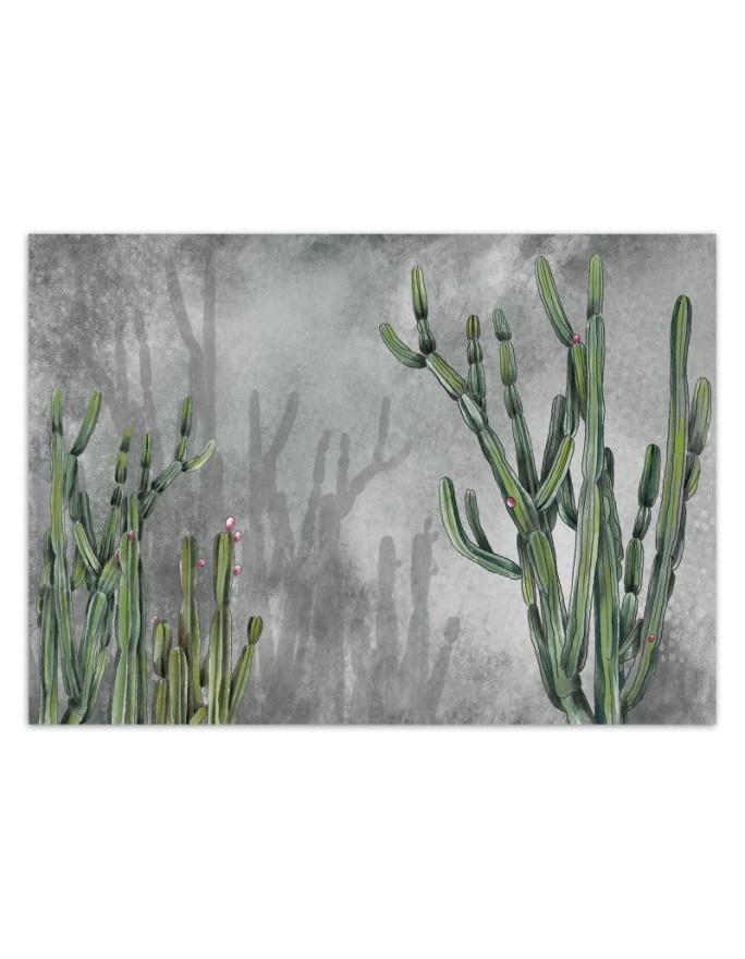 Original wall murals - Cactus plants desert | FEEBY
