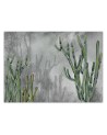 Original wall murals - Cactus plants desert | FEEBY