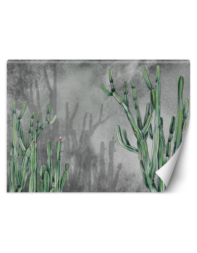 Original wall murals - Cactus plants desert | FEEBY