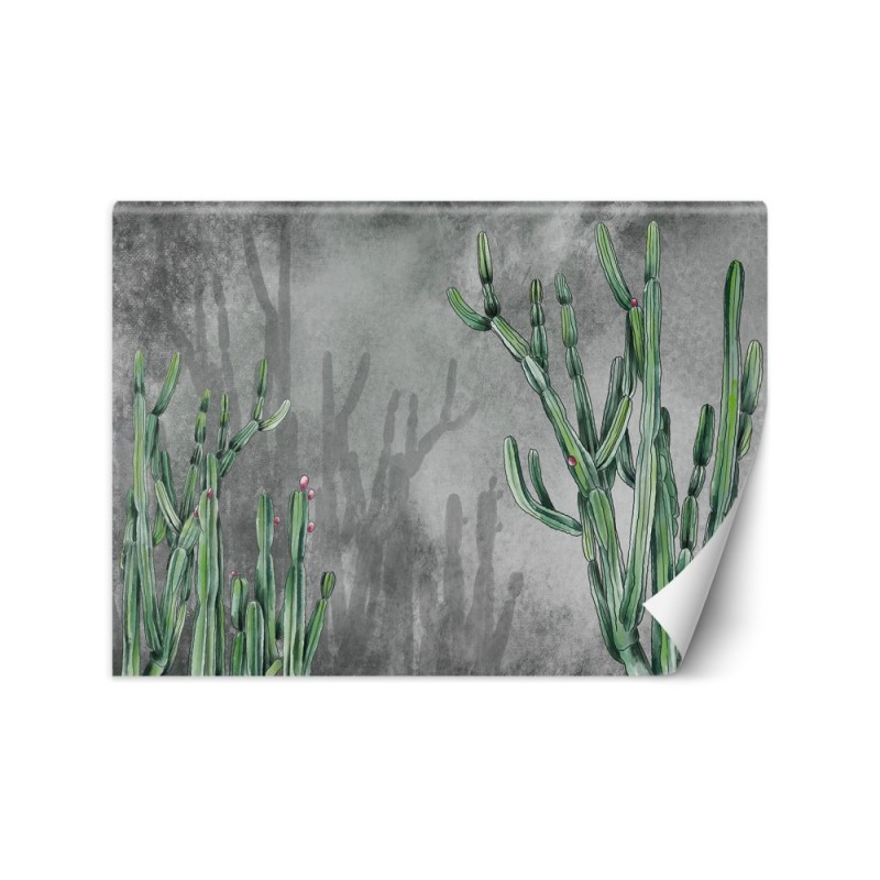 Original wall murals - Cactus plants desert | FEEBY
