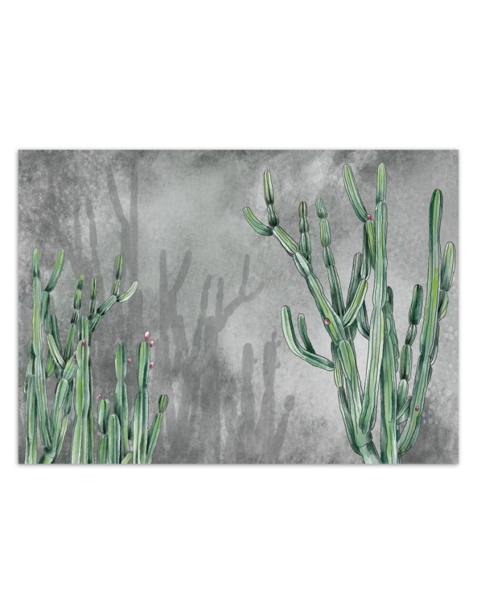 Original wall murals - Cactus plants desert | FEEBY