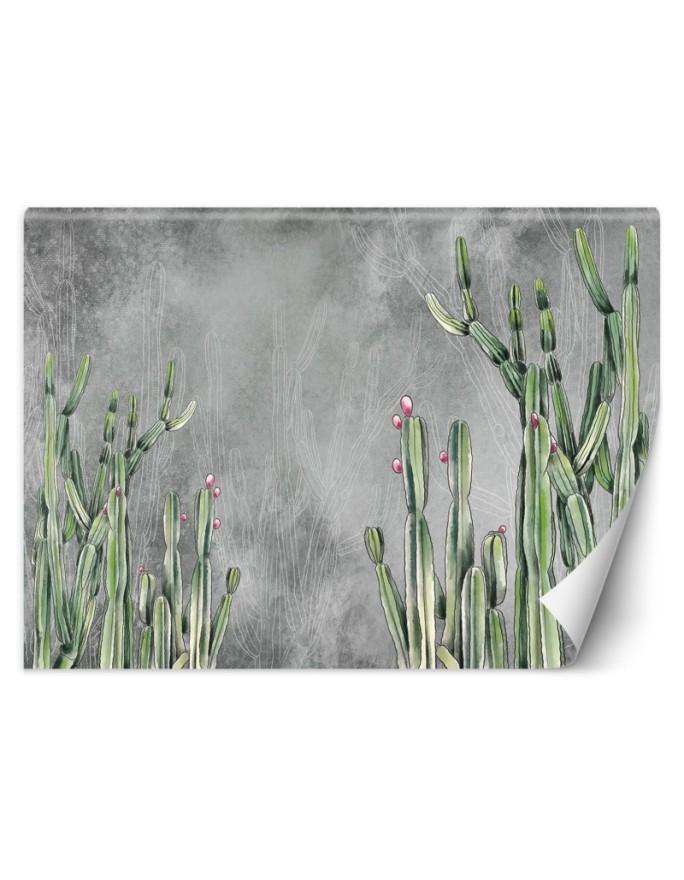 Original wall murals - Cactus plants desert | FEEBY