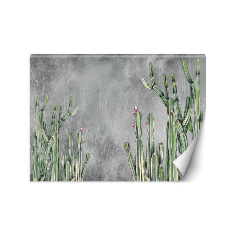 Original wall murals - Cactus plants desert | FEEBY