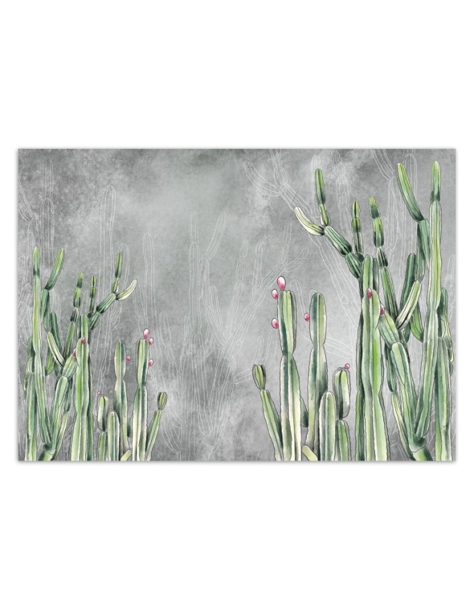 Original wall murals - Cactus plants desert | FEEBY