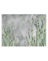Original wall murals - Cactus plants desert | FEEBY