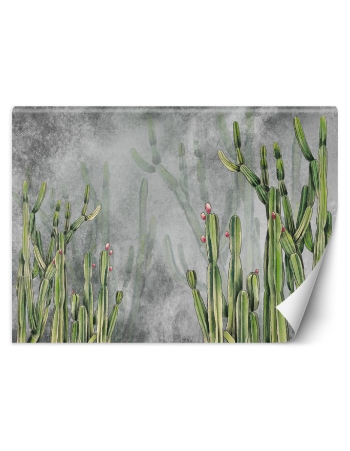 Original wall murals - Cactus plants desert | FEEBY