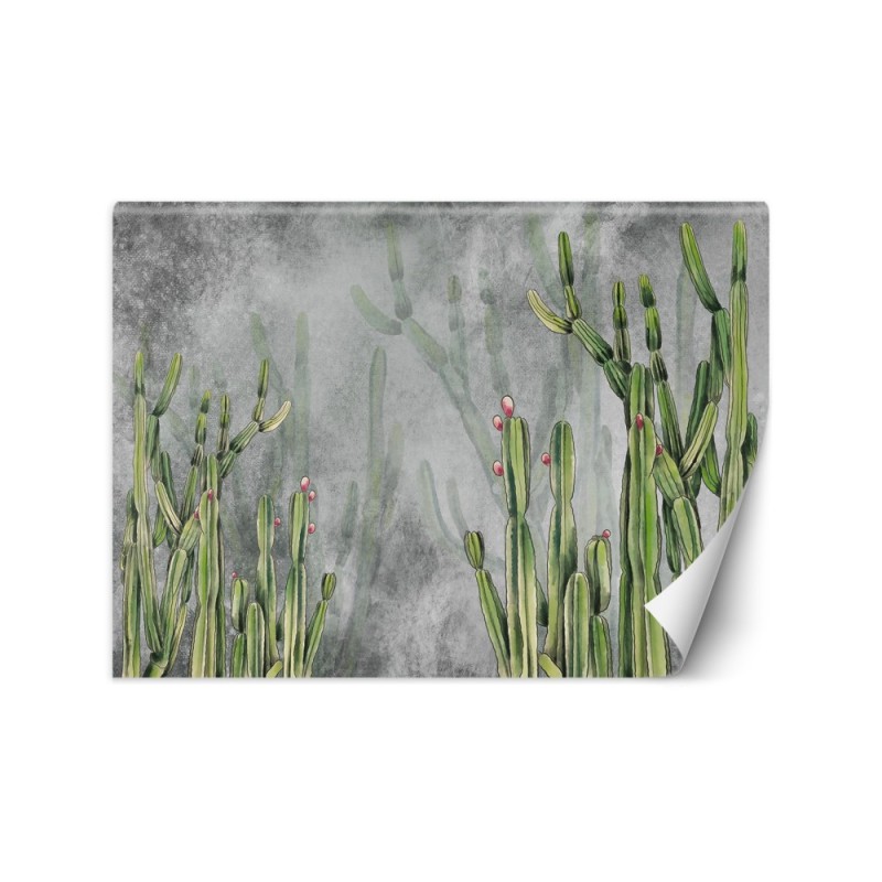 Original wall murals - Cactus plants desert | FEEBY