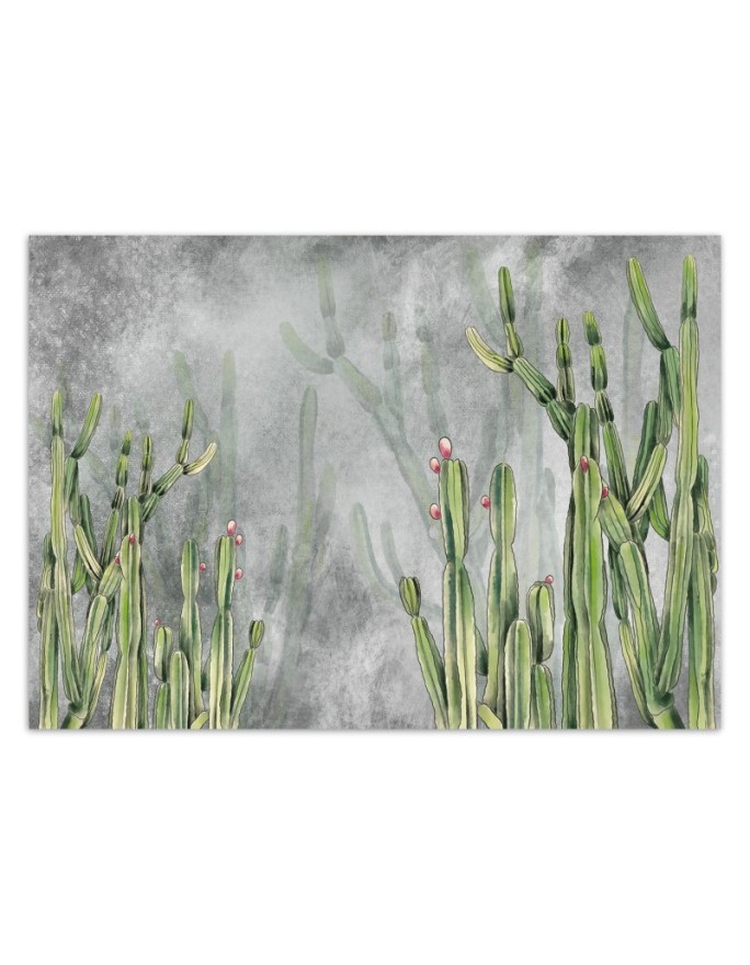 Original wall murals - Cactus plants desert | FEEBY