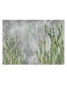 Original wall murals - Cactus plants desert | FEEBY