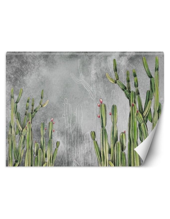 Original wall murals - Cactus plants desert | FEEBY