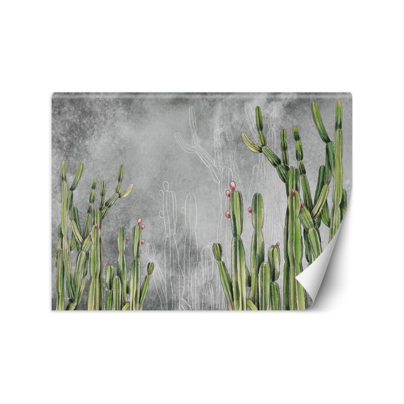Original wall murals - Cactus plants desert | FEEBY