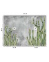 Original wall murals - Cactus plants desert | FEEBY