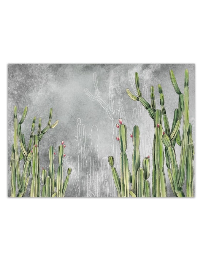 Original wall murals - Cactus plants desert | FEEBY