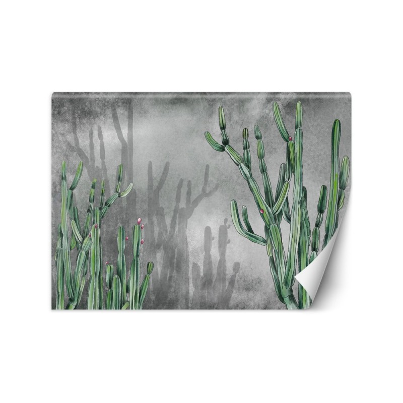 Trendy wall murals - Large cactus desert plants | FEEBY