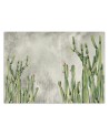 Trendy wall murals - Large desert cactus | FEEBY