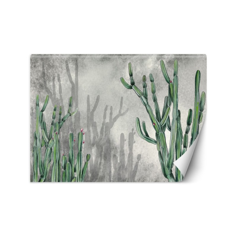 Trendy wall murals - Large desert cactus | FEEBY