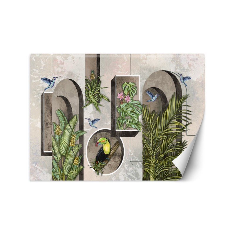 Wallpaper - Shapes in wall with plants and birds toucan hummingbird | FEEBY