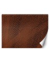 Texture wall mural - Panther leopard fur spots pattern | FEEBY