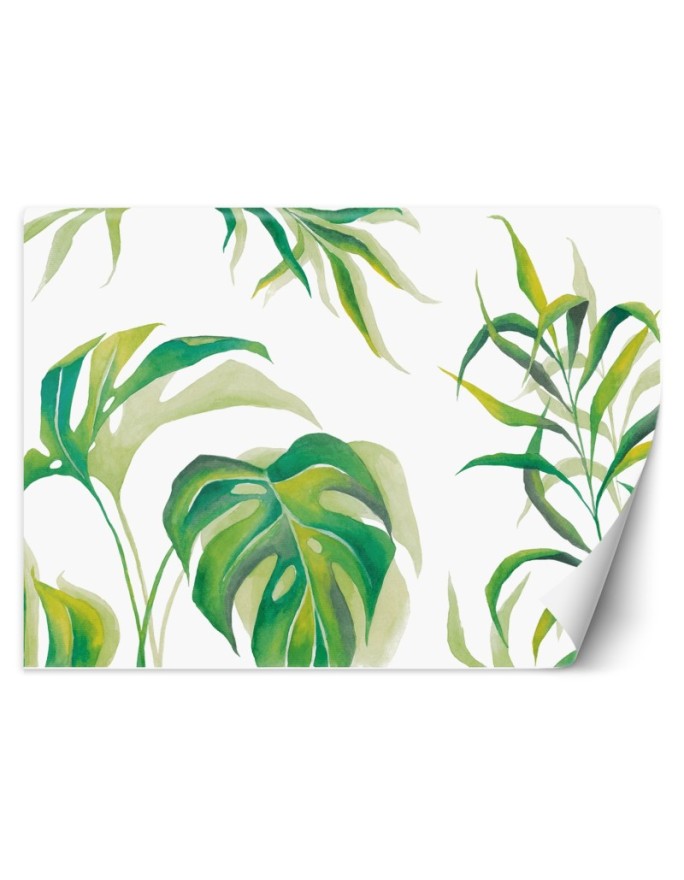 Wall mural Monstera Leaf...