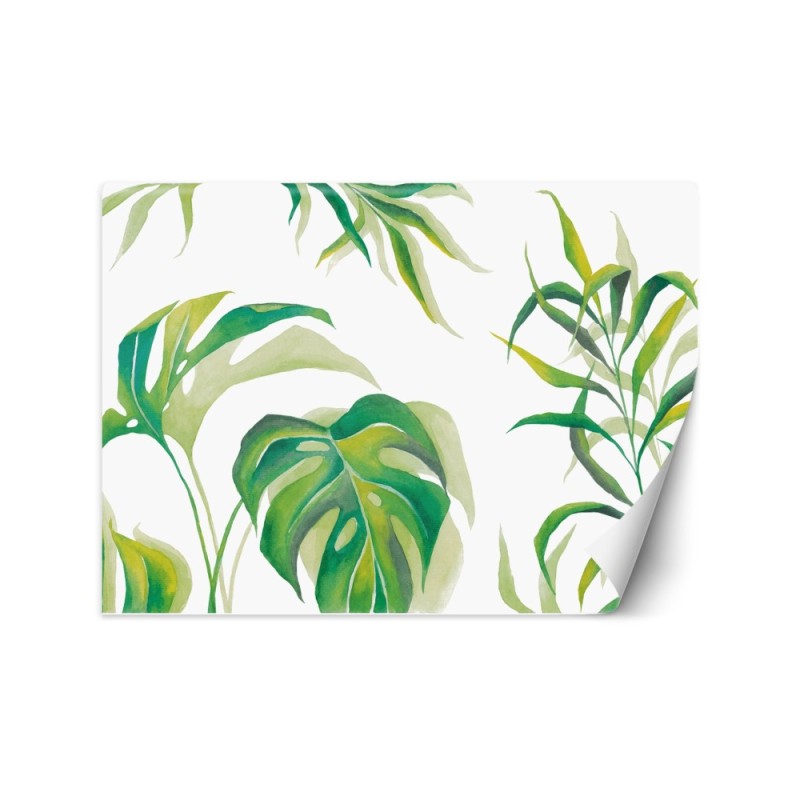 Exotic wall mural - Monstera leaves | FEEBY