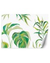 Exotic wall mural - Monstera leaves | FEEBY