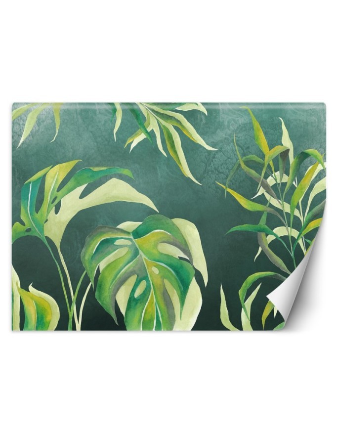 Exotic wall murals - Monstera leaves | FEEBY