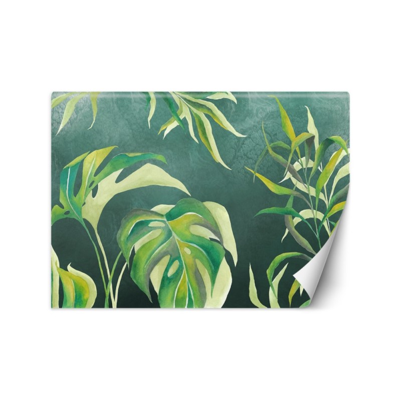 Exotic wall murals - Monstera leaves | FEEBY