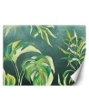 Exotic wall murals - Monstera leaves | FEEBY