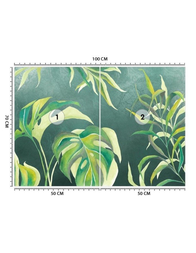 Exotic wall murals - Monstera leaves | FEEBY