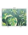 Exotic wall murals - Monstera leaves | FEEBY