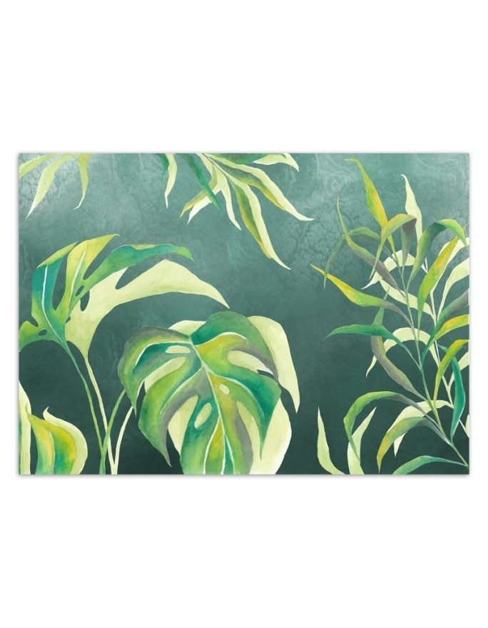 Exotic wall murals - Monstera leaves | FEEBY