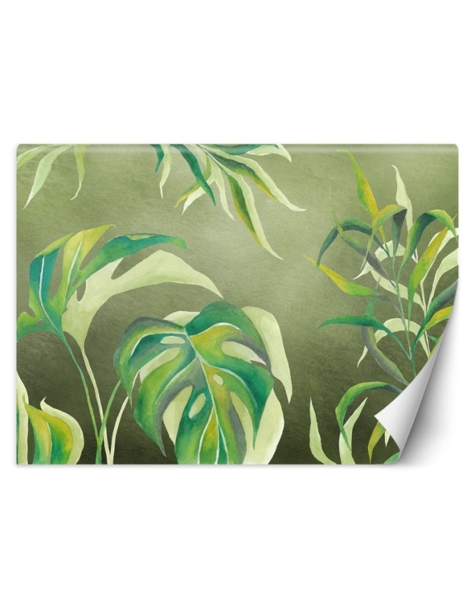 Exotic wall murals - Monstera leaves | FEEBY