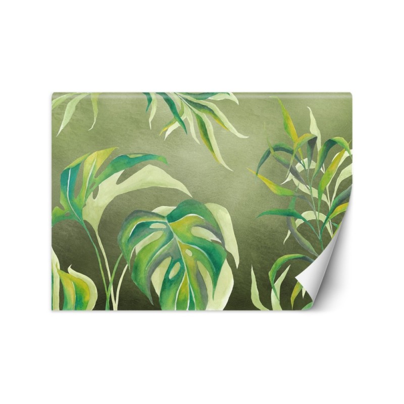 Exotic wall murals - Monstera leaves | FEEBY