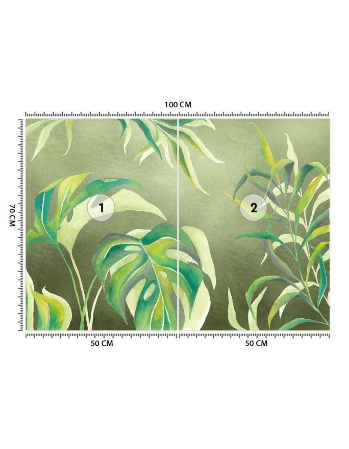 Exotic wall murals - Monstera leaves | FEEBY