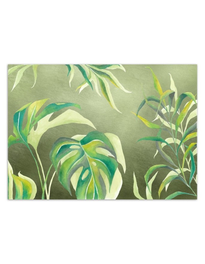 Exotic wall murals - Monstera leaves | FEEBY