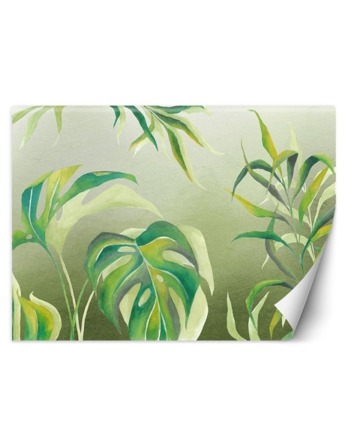 Exotic wall murals - Monstera leaves | FEEBY