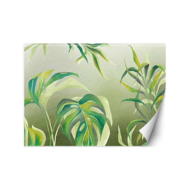 Exotic wall murals - Monstera leaves | FEEBY
