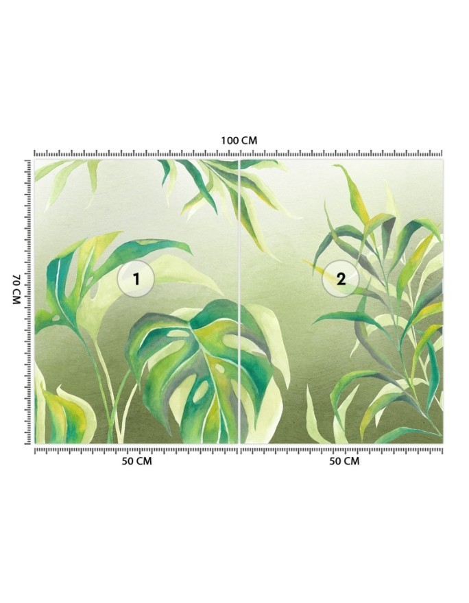 Exotic wall murals - Monstera leaves | FEEBY