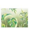 Exotic wall murals - Monstera leaves | FEEBY