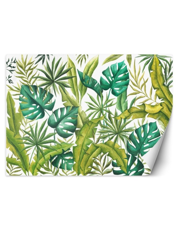 Exotic wall murals - Monstera leaves | FEEBY