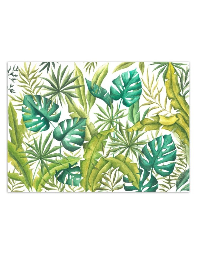 Exotic wall murals - Monstera leaves | FEEBY