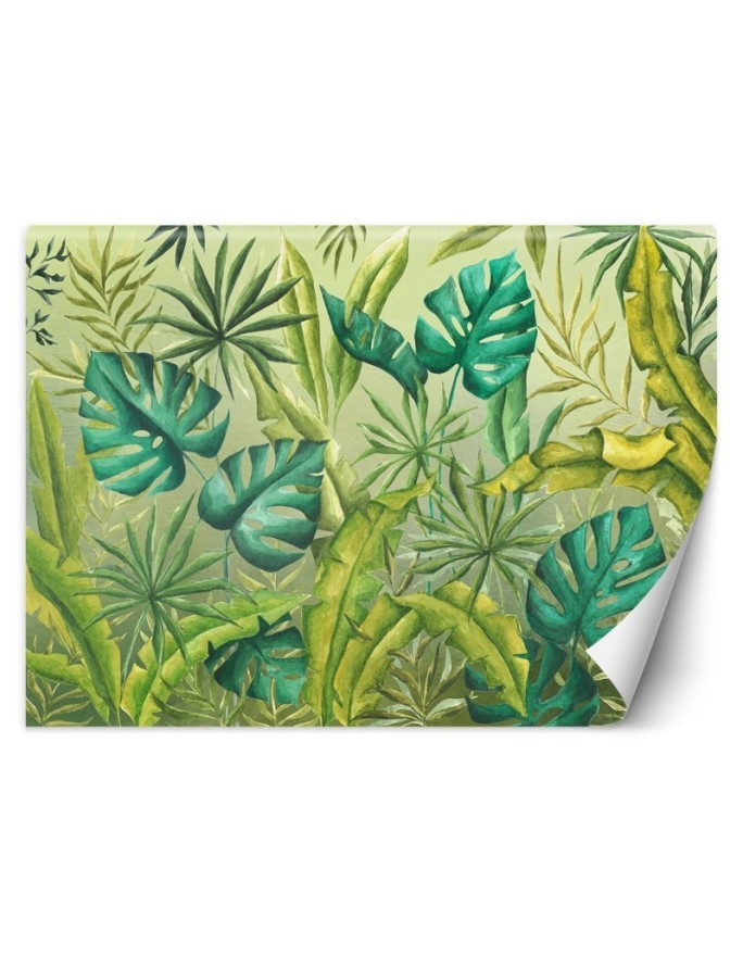 Exotic wall murals - Monstera leaves | FEEBY