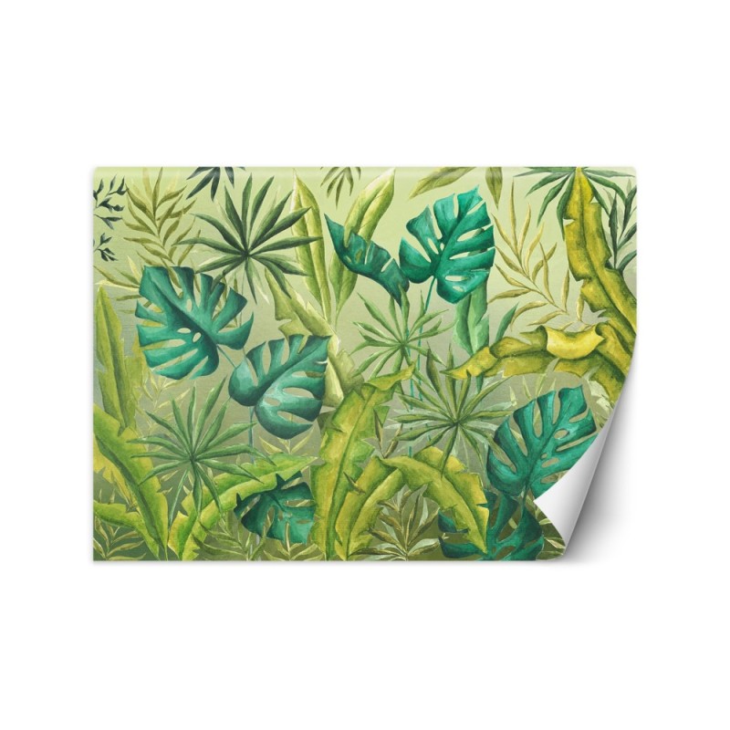 Exotic wall murals - Monstera leaves | FEEBY