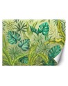 Exotic wall murals - Monstera leaves | FEEBY