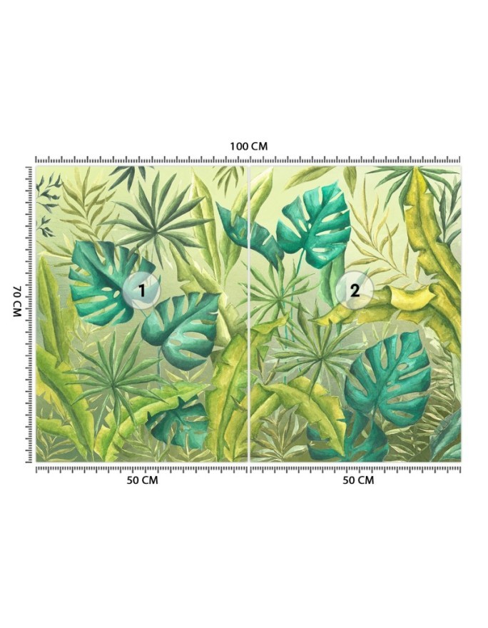 Exotic wall murals - Monstera leaves | FEEBY