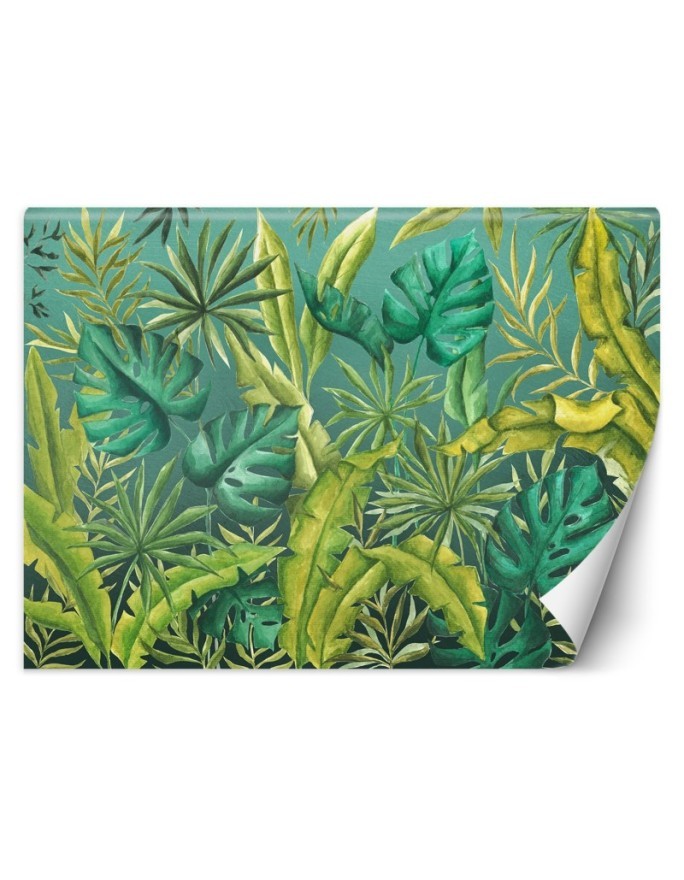 Exotic wall murals - Monstera leaves | FEEBY