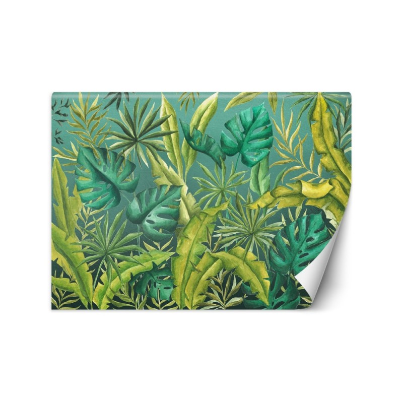 Exotic wall murals - Monstera leaves | FEEBY