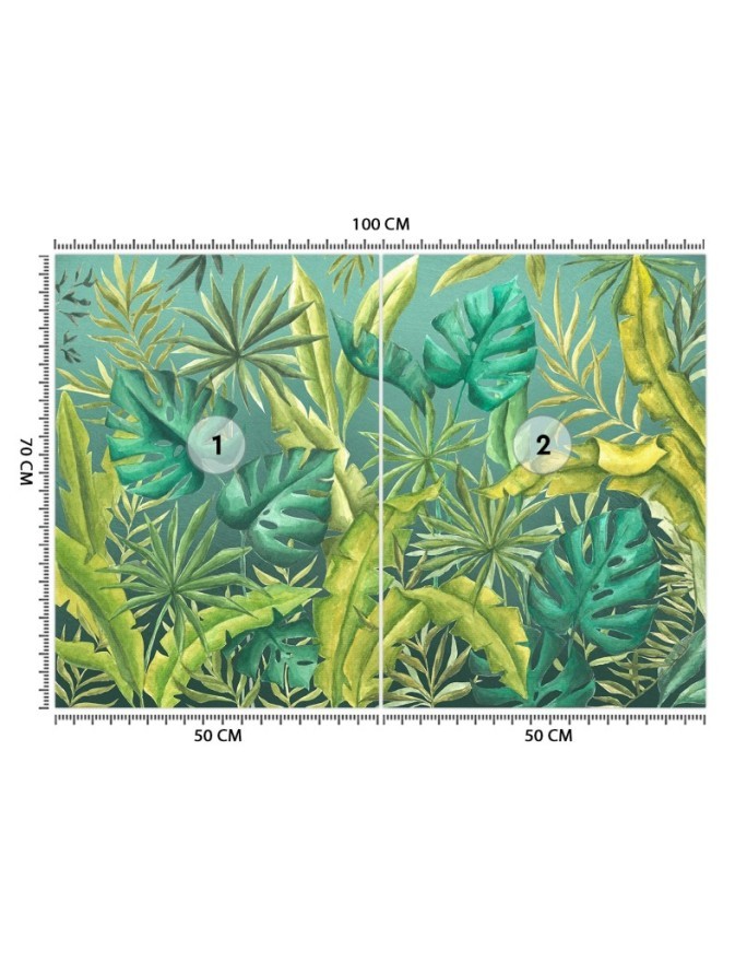 Exotic wall murals - Monstera leaves | FEEBY