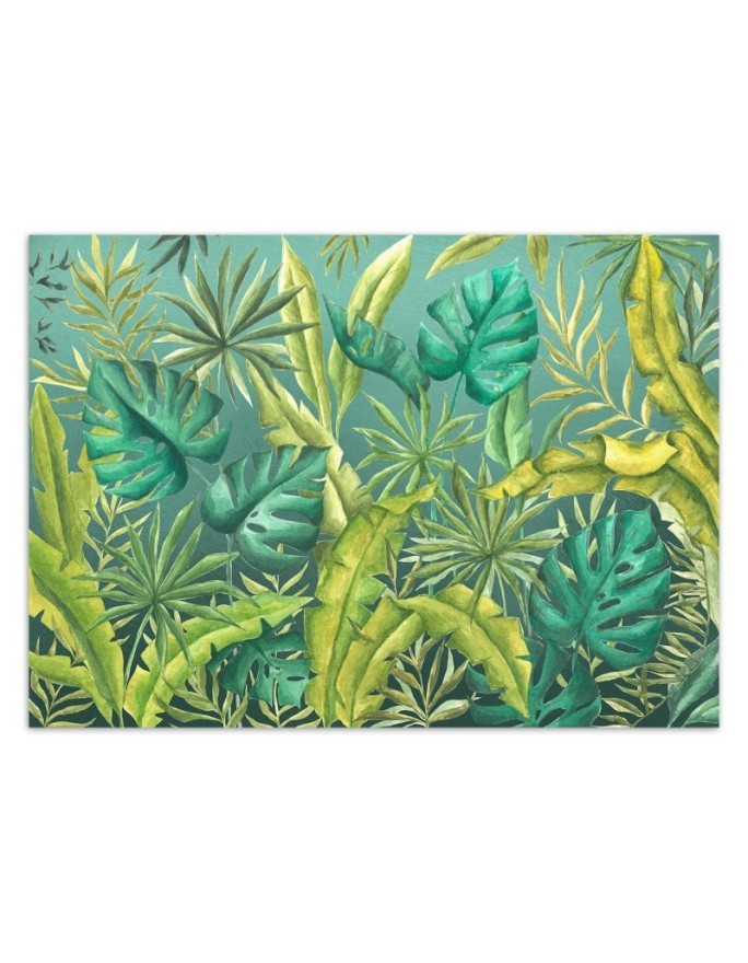 Exotic wall murals - Monstera leaves | FEEBY