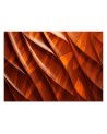 Photo wallpaper for living room - Orange texture 3D | FEEBY